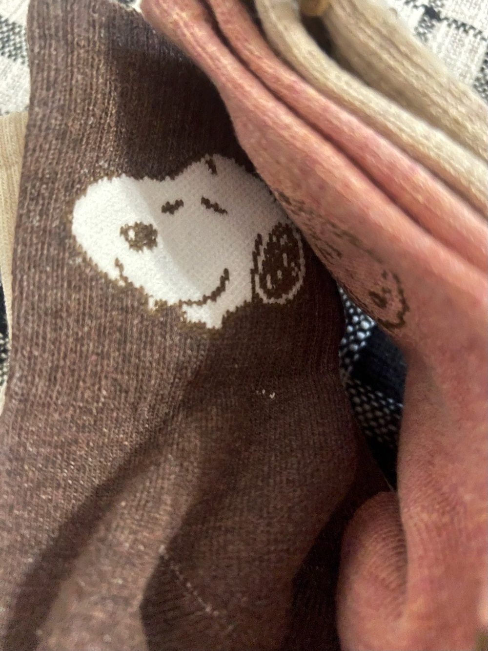 Peanuts Women’s 5 Pairs- Beige & Brown Harvest Crew Socks - Snoopy & Friends - Picture 10 of 11